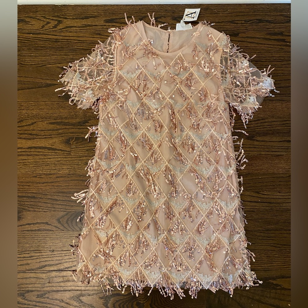 Tassle sequin mini shift dress sz S